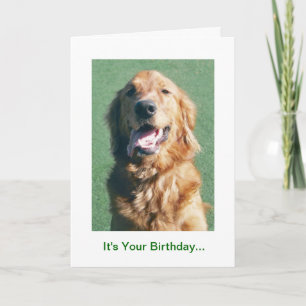 Golden Retriever Birthday Card, Golden Years Card