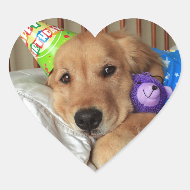 Golden Retriever Birthday Heart Sticker (Front)