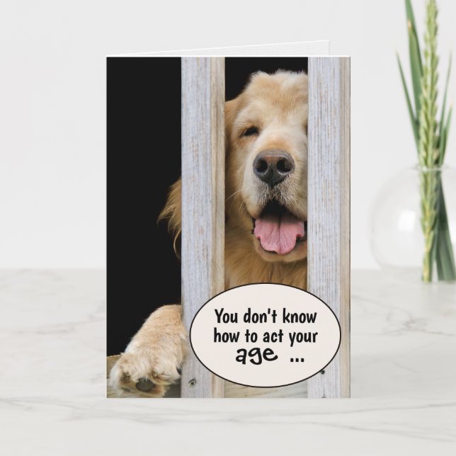 Golden Retriever Birthday Humour Card (Front)