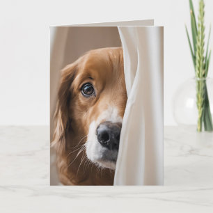 Golden Retriever Birthday Humour Card