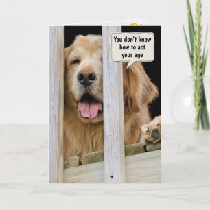 Golden Retriever Birthday Humour Card