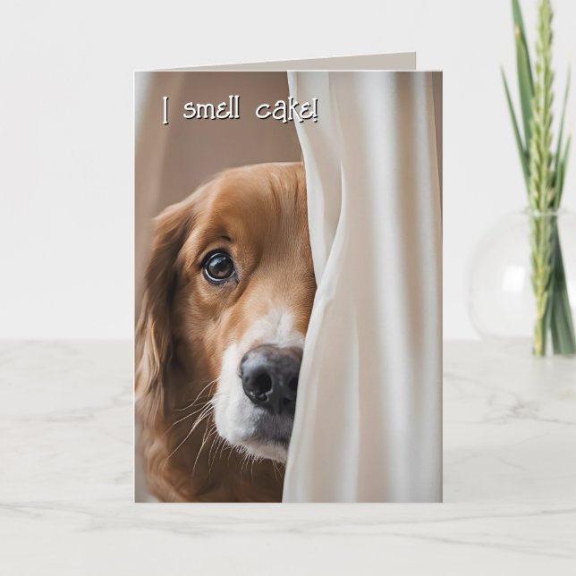 Golden Retriever Birthday Humour Card (Front)