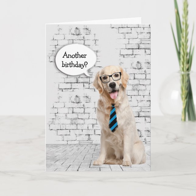 Golden Retriever Birthday Humour Card (Front)