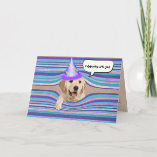golden retriever birthday humour card