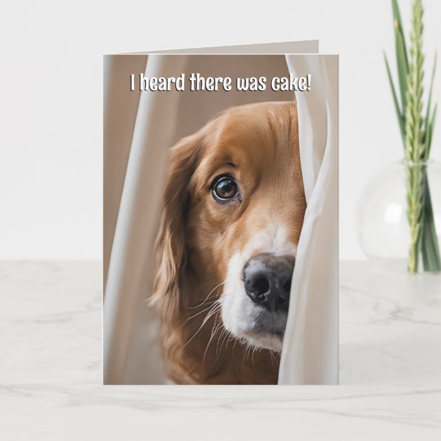 Golden Retriever Birthday Humour Card (Front)