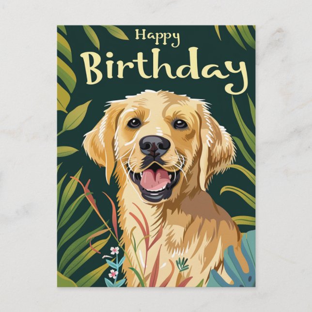 Golden Retriever Birthday  Postcard (Front)