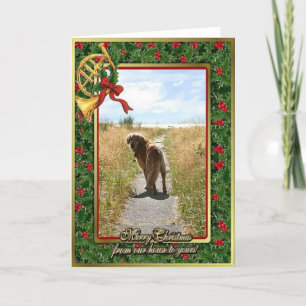 Golden Retriever Blank Christmas Card
