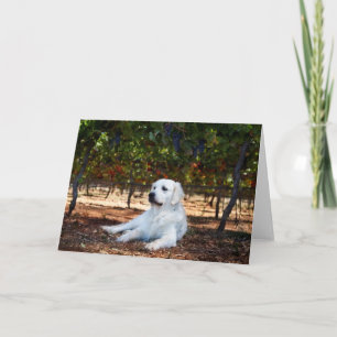 Golden Retriever Blank Greeting Card