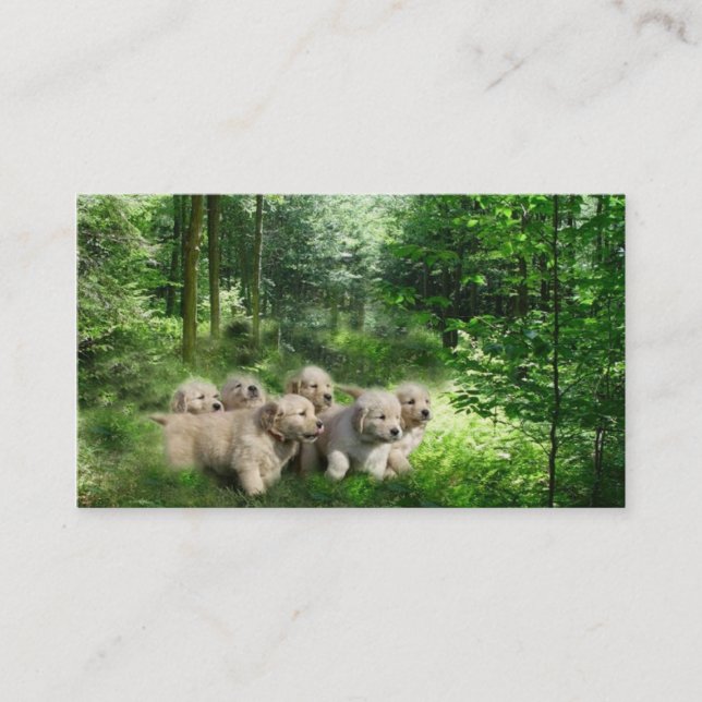 Golden Retriever Breeder Business Card (Front)