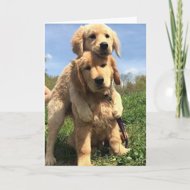 Golden Retriever Brothers Card (Front)
