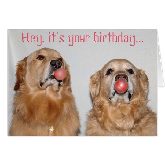 Golden Retriever Bubblegum Birthday Card