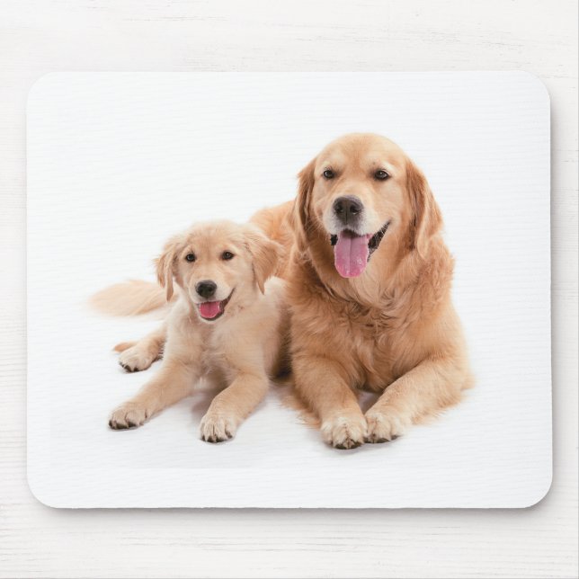 Golden Retriever Buddies Mouse Mat (Front)