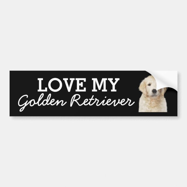 Golden Retriever bumper sticker (Front)