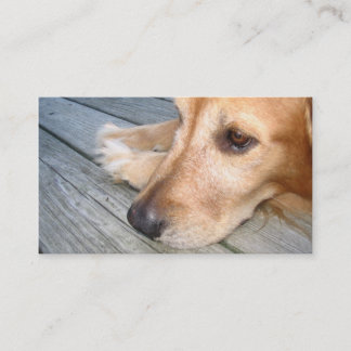 Golden Retriever Business Card