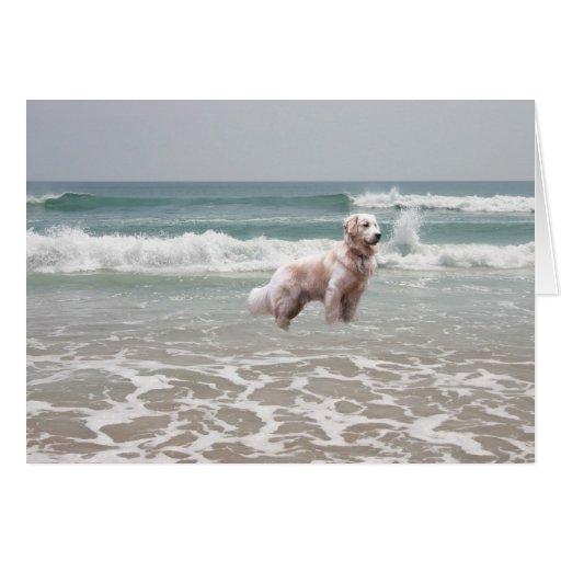 Image of Golden Retriever By The Sea Card