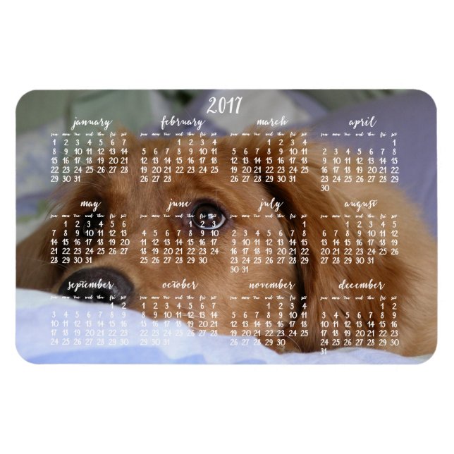 Golden Retriever Calendar 2017 Large Photo Magnet (Horizontal)