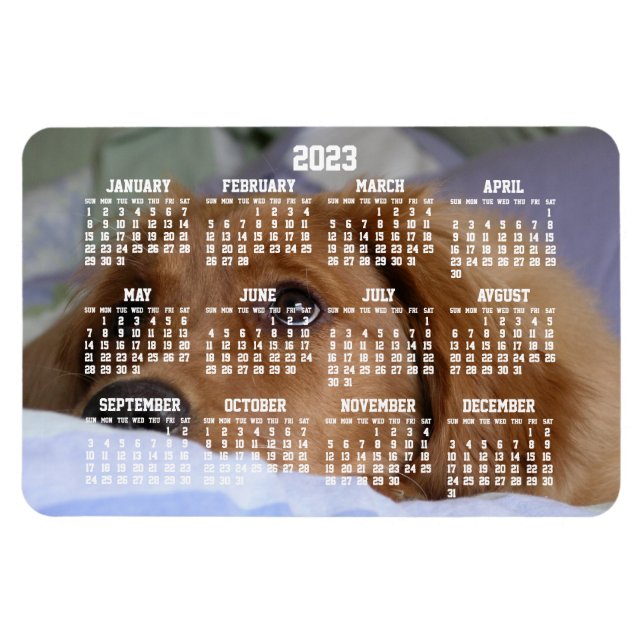 Golden Retriever Calendar 2023 Large Photo Magnet (Horizontal)