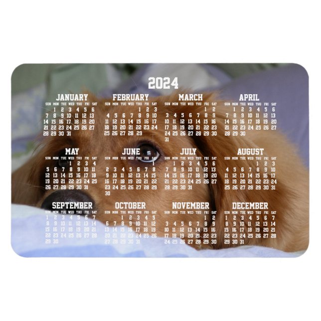 Golden Retriever Calendar 2024 Large Photo Magnet (Horizontal)