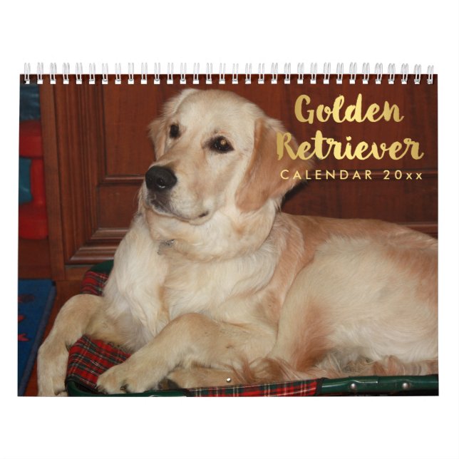 Golden Retriever Calendar 2026 (Cover)