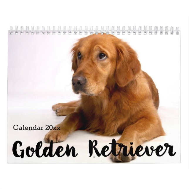 Golden Retriever Calendar 2026 (Cover)