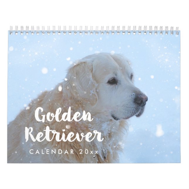 Golden Retriever Calendar 2026 Monthly (Cover)