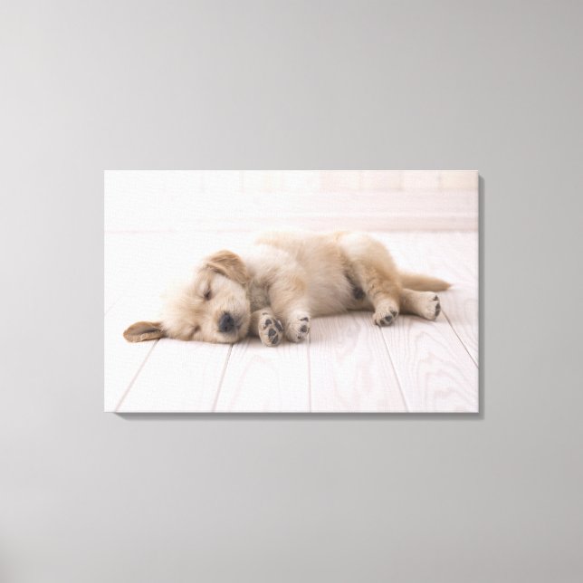 Golden Retriever Canvas Print (Front)