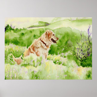 Golden Retriever Canvas Print