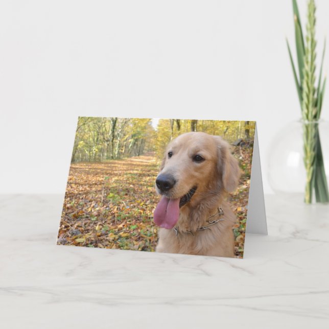 Golden Retriever Card (Front)