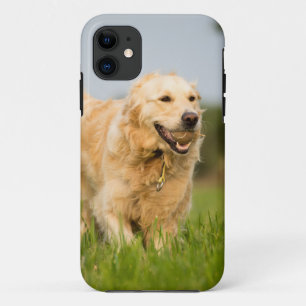 Golden Retriever iPhone 11 Case