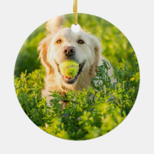 Golden Retriever Ceramic Tree Decoration