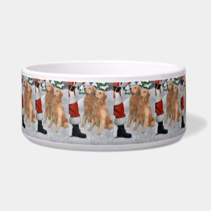 Golden Retriever Christmas 
