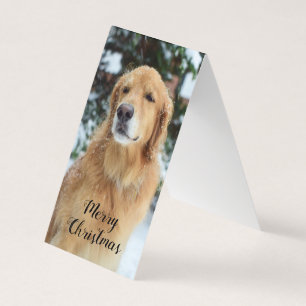 Golden Retriever Christmas Card