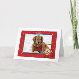 Golden Retriever Christmas Card