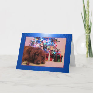 Golden Retriever Christmas Card, Customisable Holiday Card