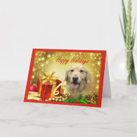 Golden Retriever  Christmas Card Gifts