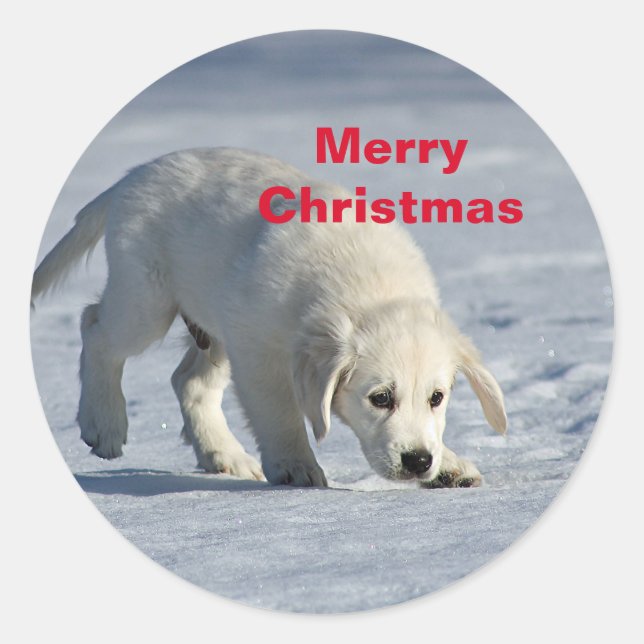Golden Retriever Christmas Classic Round Sticker (Front)