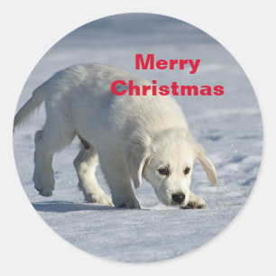 Golden Retriever Christmas Classic Round Sticker