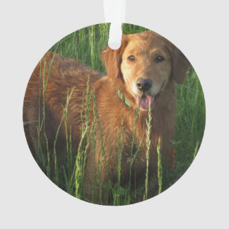 Golden Retriever Christmas Ornament