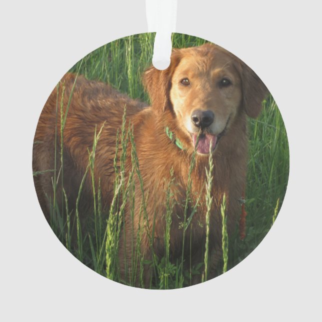 Golden Retriever Christmas Ornament (Back)