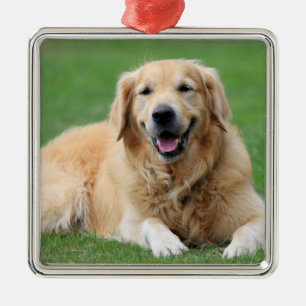 Golden Retriever Christmas Ornament Metal Custom
