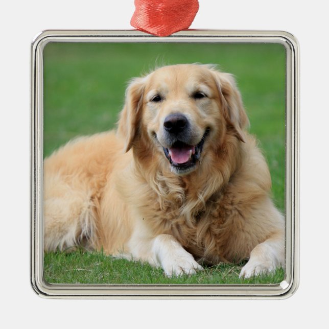 Golden Retriever Christmas Ornament Metal Custom (Front)
