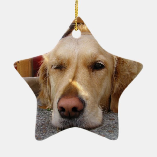 Golden Retriever Christmas Ornament Star Custom (Front)