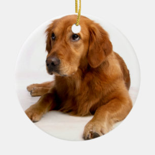 Golden Retriever Christmas Ornament With Photo