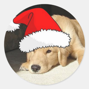 Golden Retriever Christmas Puppy Classic Round Sticker