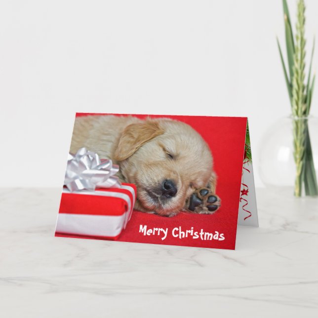 Golden Retriever Christmas puppy Holiday Card (Front)