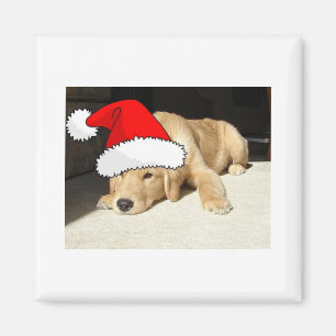 Golden Retriever Christmas Puppy Magnet