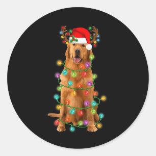 Golden Retriever Christmas Tree Lights Pajama Dog  Classic Round Sticker