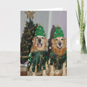 Golden Retriever Christmas Trees Holiday Card
