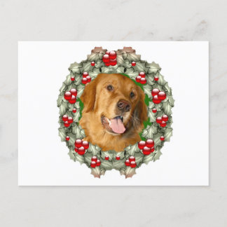 Golden Retriever Christmas wreath Holiday Postcard