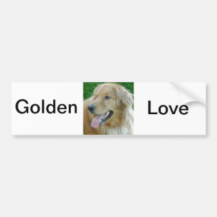 Golden Retriever Close-up Bumper Sticker